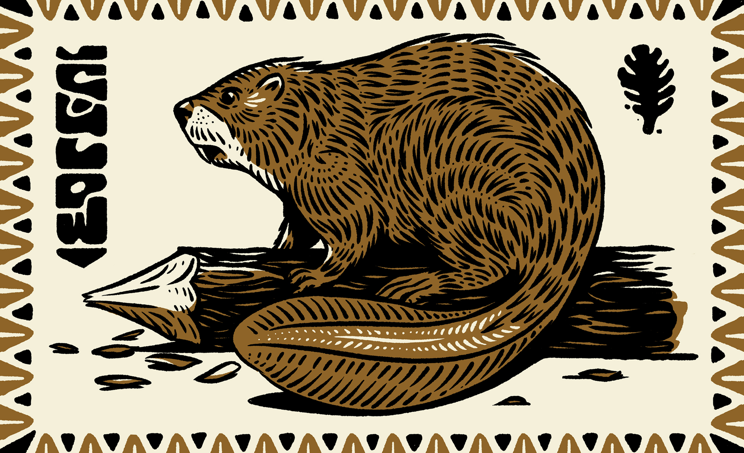 beaver design