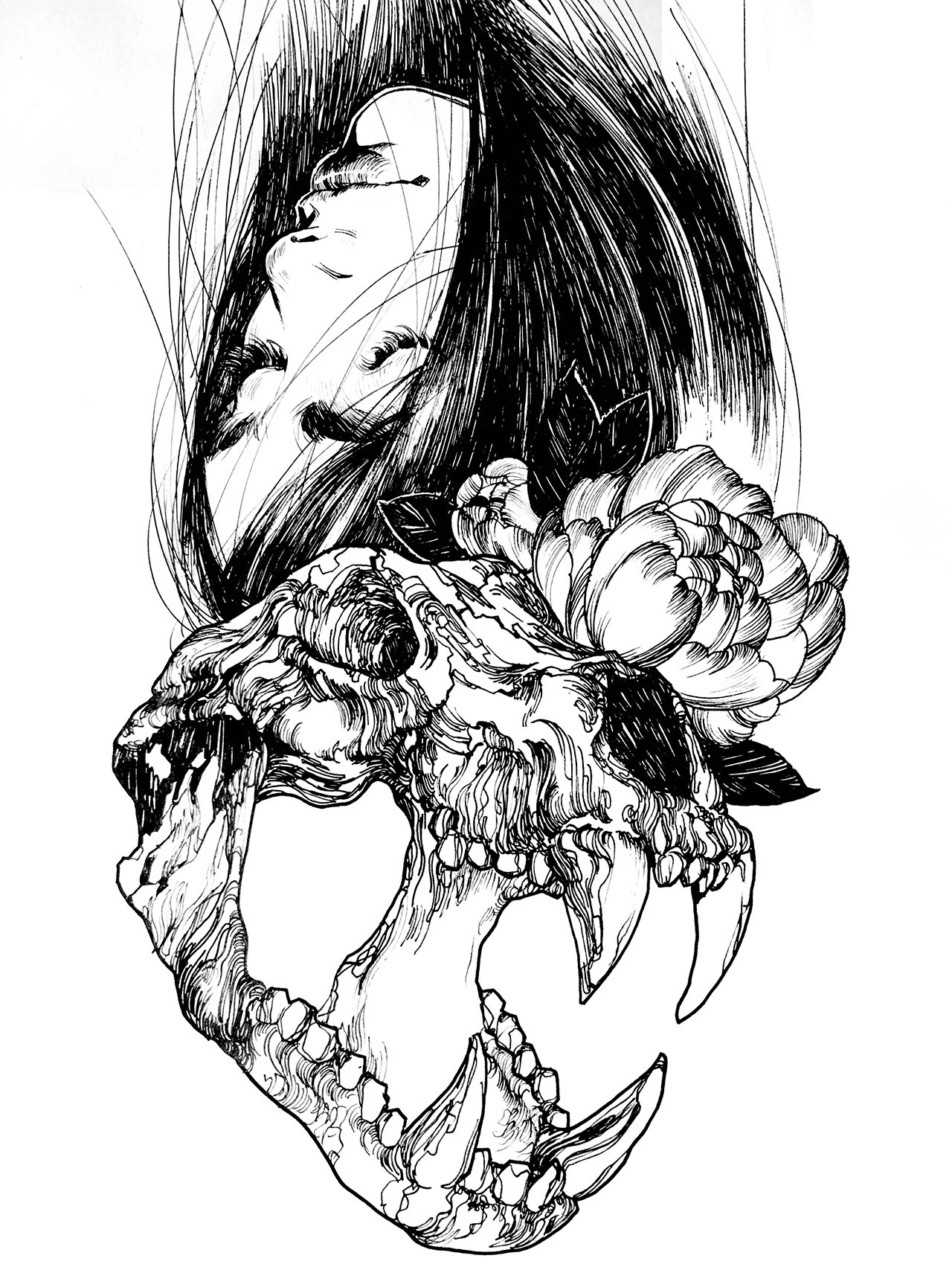 Drawing of girl with a wolf skull and flower Illustration av kvinna med vargskalle och blomma