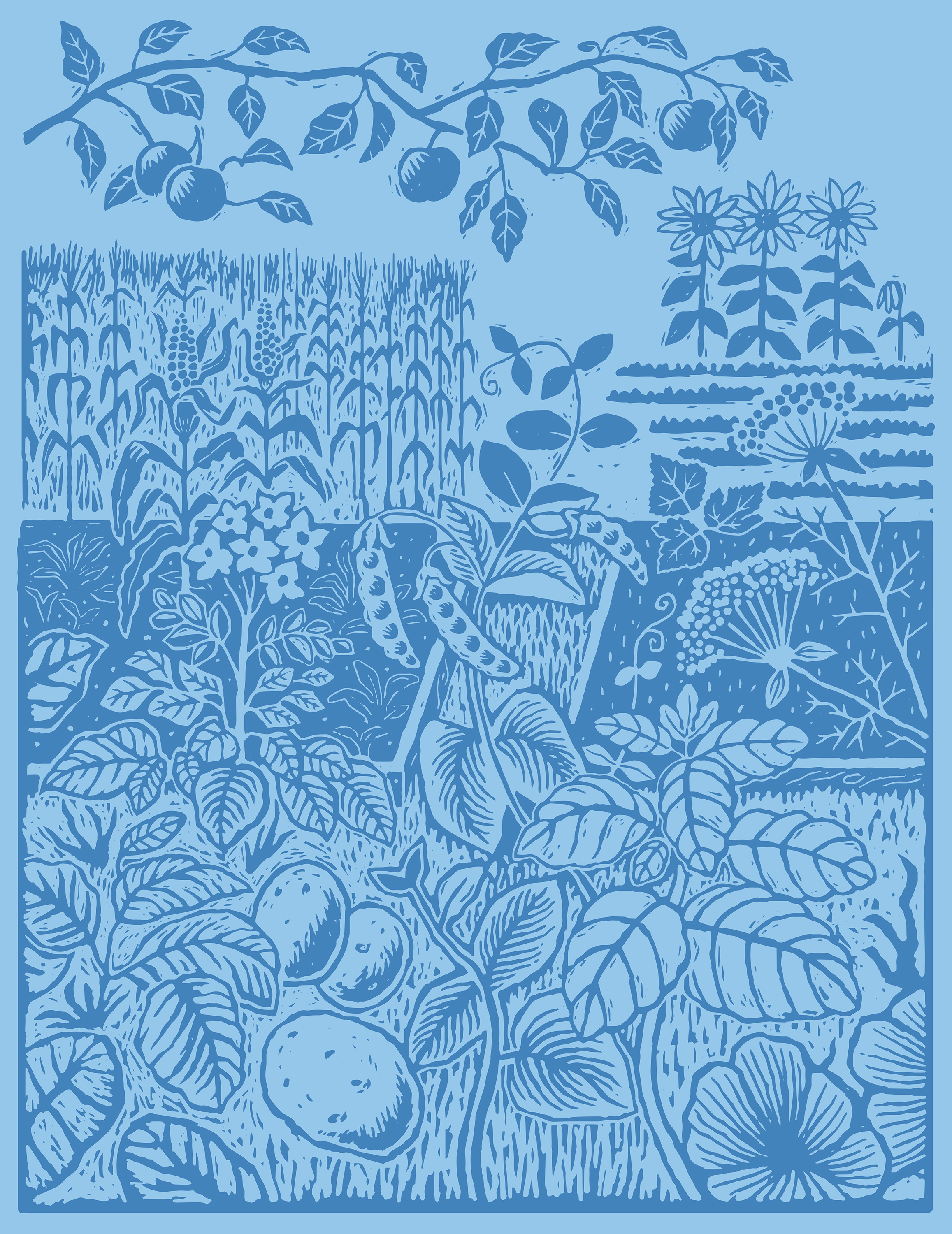 Woodcut illustration of a garden with plantations.