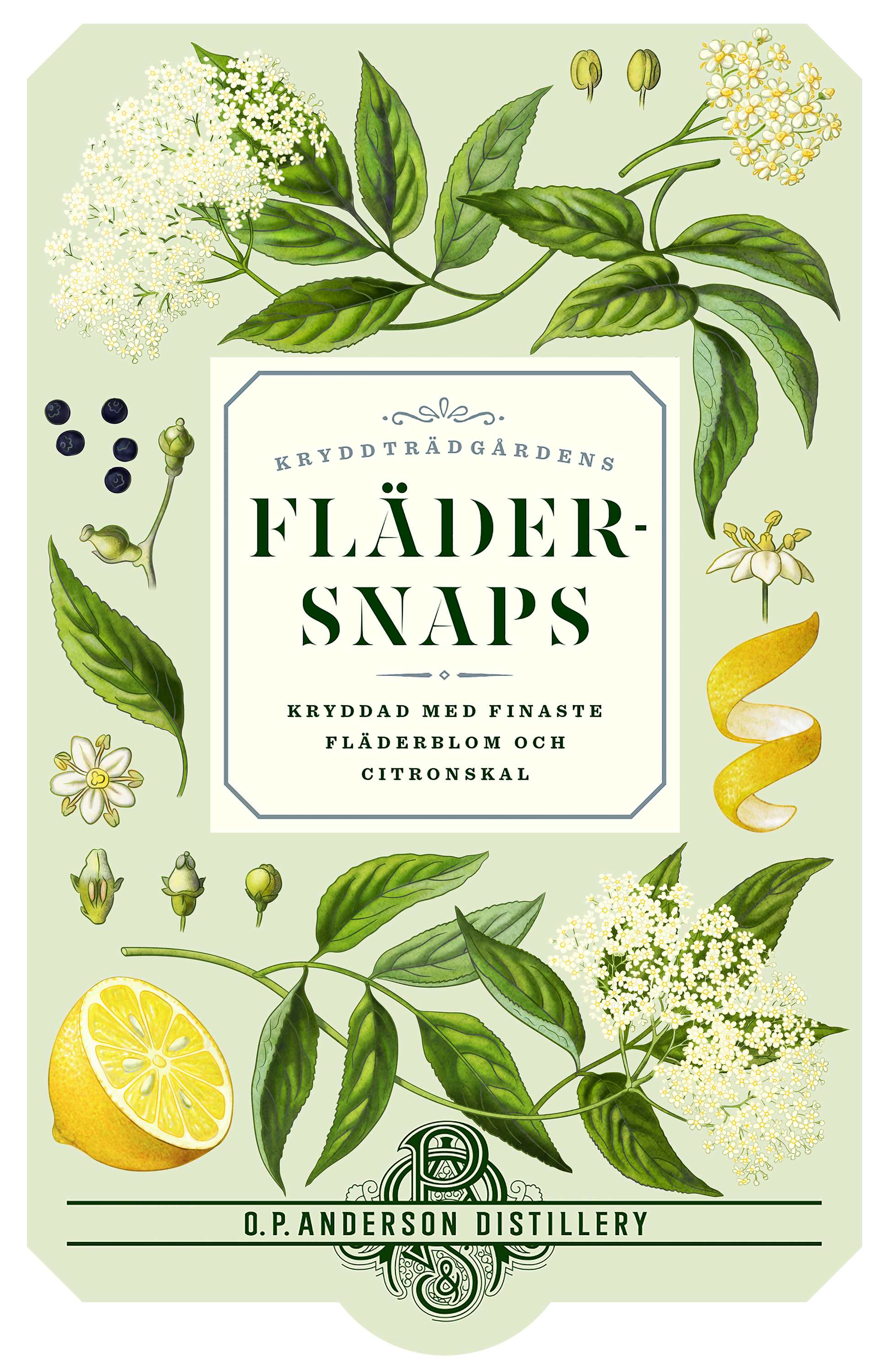 Illustration depicting elderflowers and lemons.