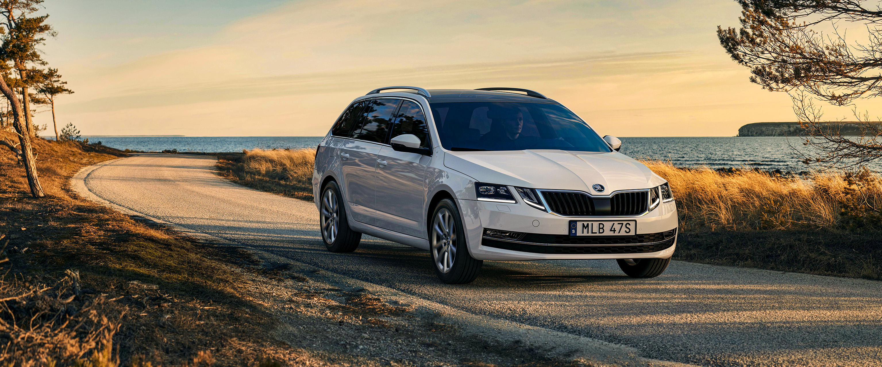 Skoda Octavia on the beach of Gotland in the sunset