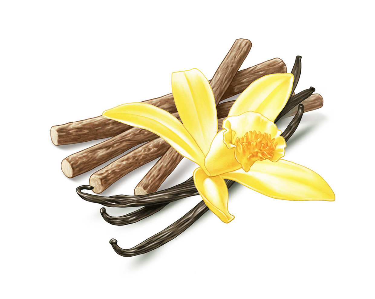 Vanilla flower and licorice root for läkerol lozenge package vanilj blomma lakrits rot vanillin