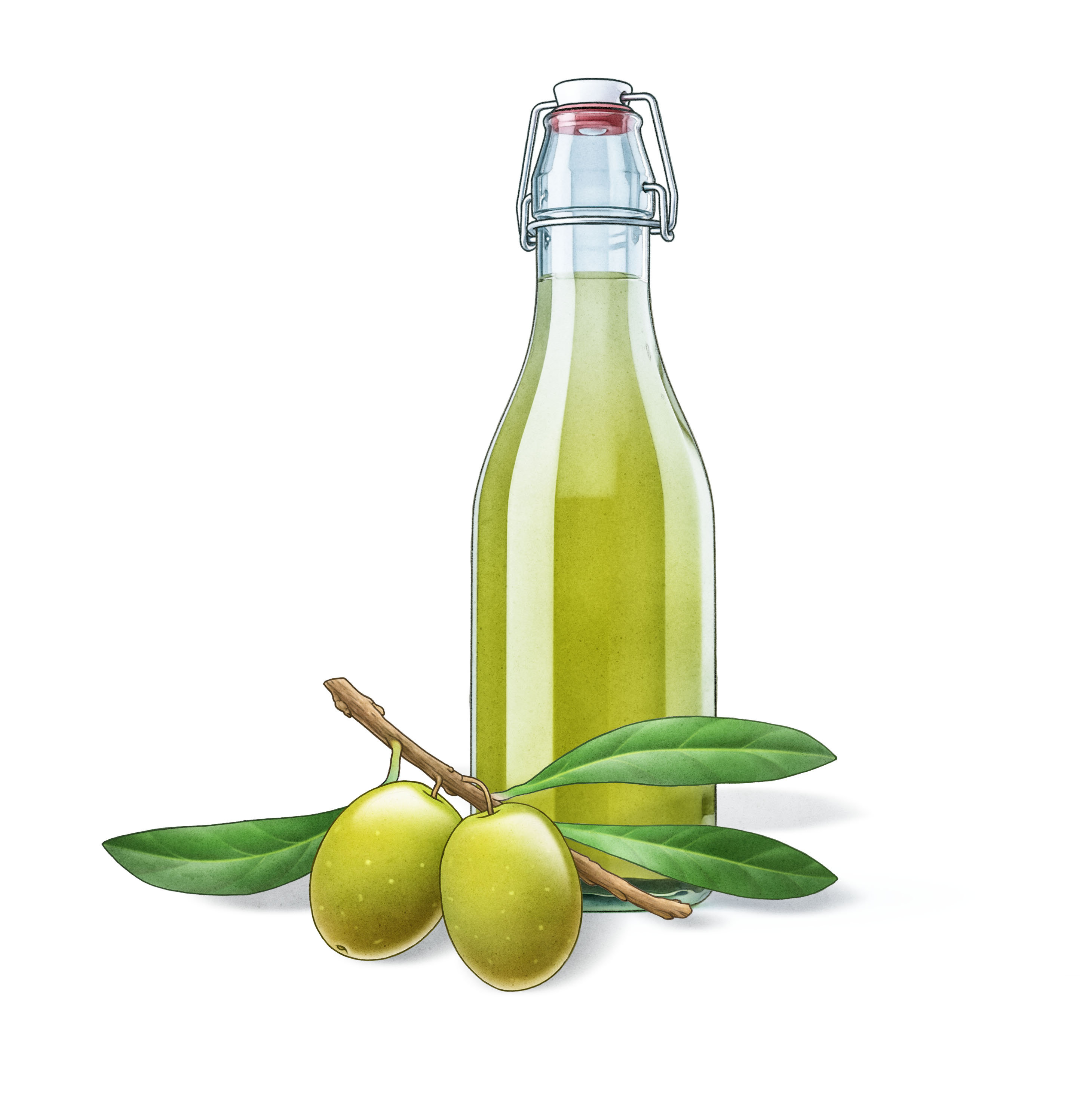 A bottle of olive oil, and a branch with leaf olivkvist olja