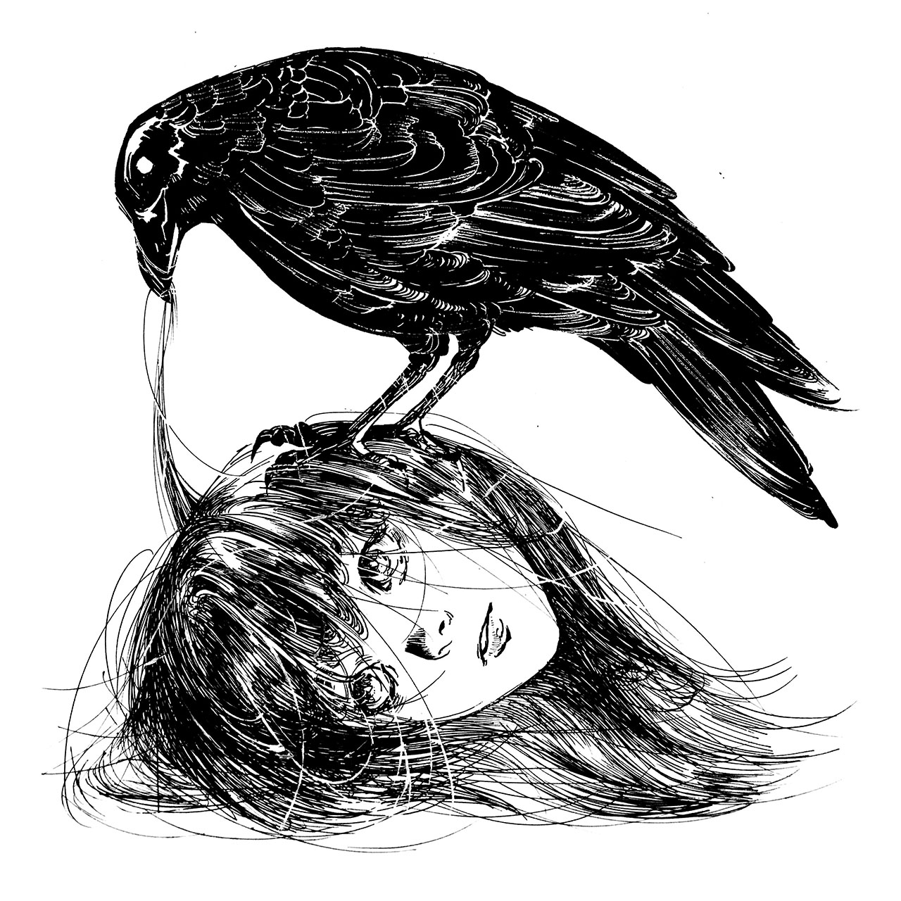 Drawing of raven sitting atop girls head Illustration av korp som sitter ovanpå flickas huvud