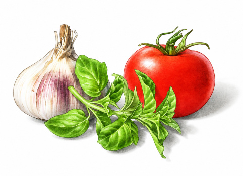 Herb